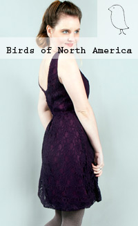 Birds of North America